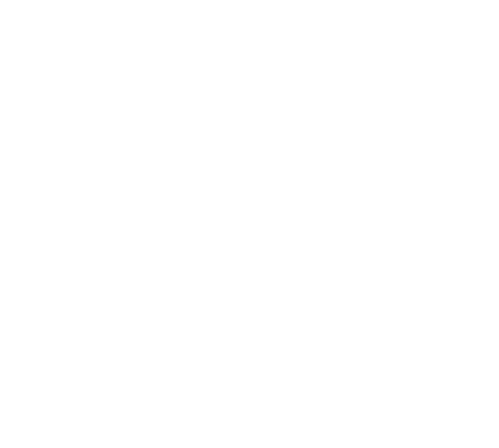 MVT Logo