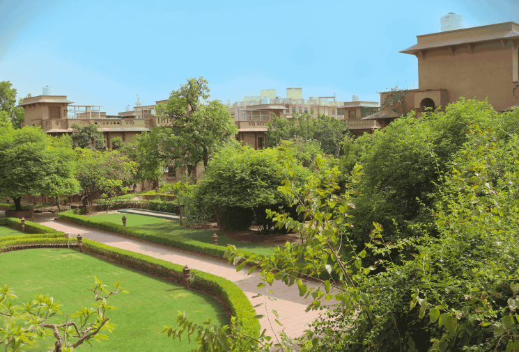 Garden view
